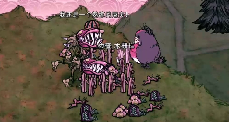 饥荒利齿幼苗是什么
