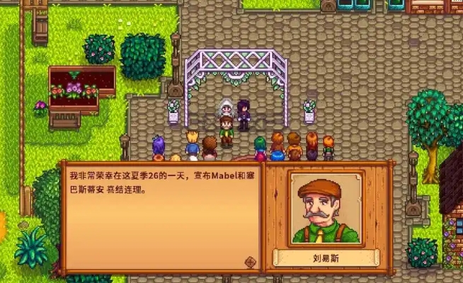 星露谷物语结婚需要什么条件