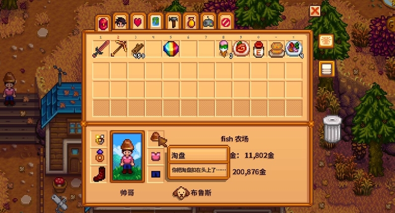 星露谷物语淘盘是什么