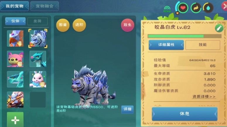 创造与魔法宠物系统怎么用 创造与魔法宠物系统怎么用
