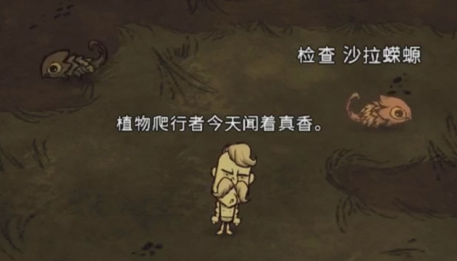 饥荒沙拉蝾螈有什么用