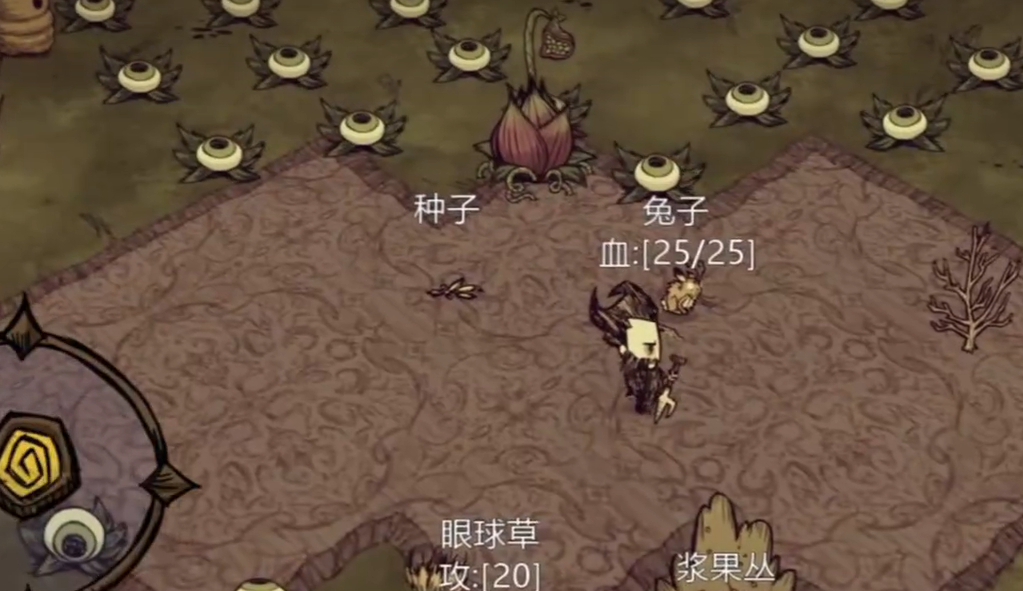 饥荒兔子有什么用