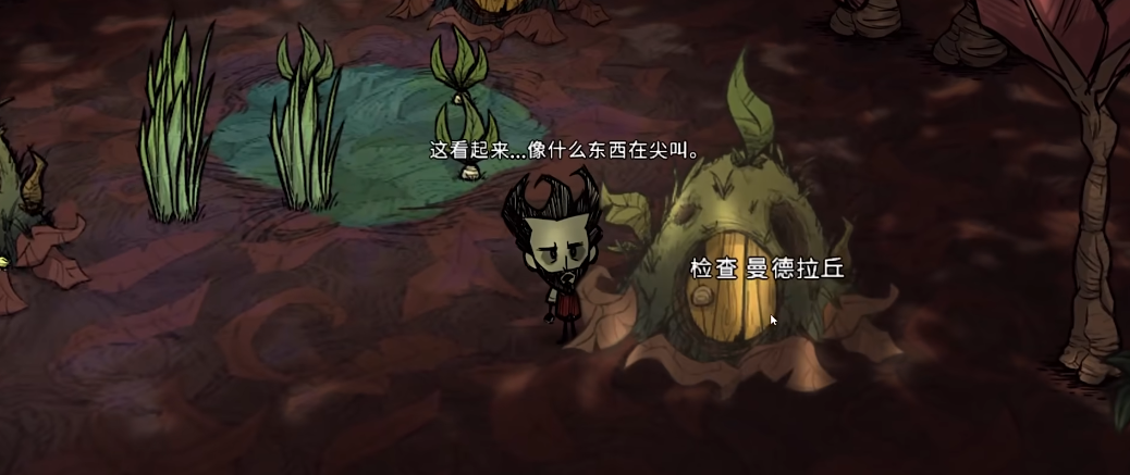 饥荒曼德拉长者有什么用 饥荒曼德拉长者有什么用