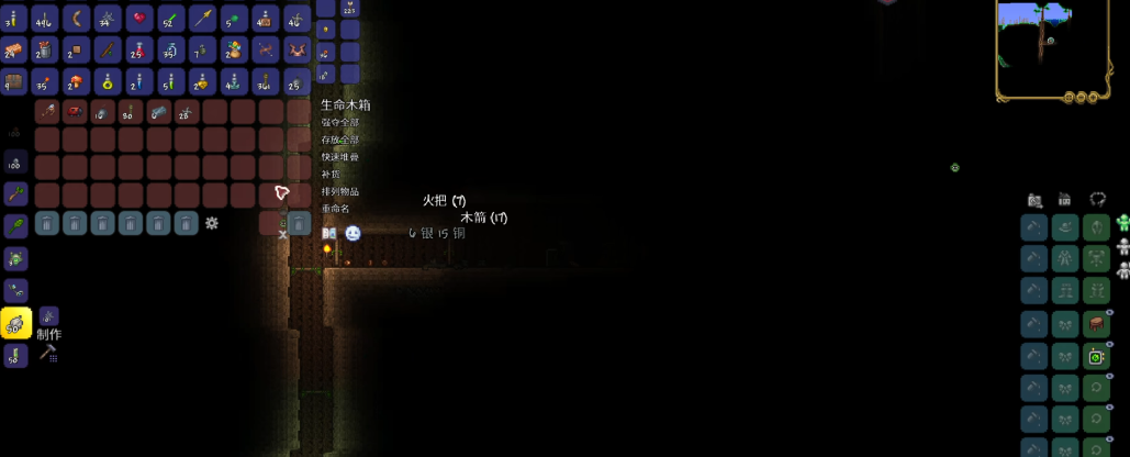 泰拉瑞亚灾厄召唤师早期怎么玩