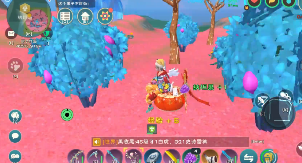 创造与魔法纳坦果有什么用途 创造与魔法纳坦果有什么用途