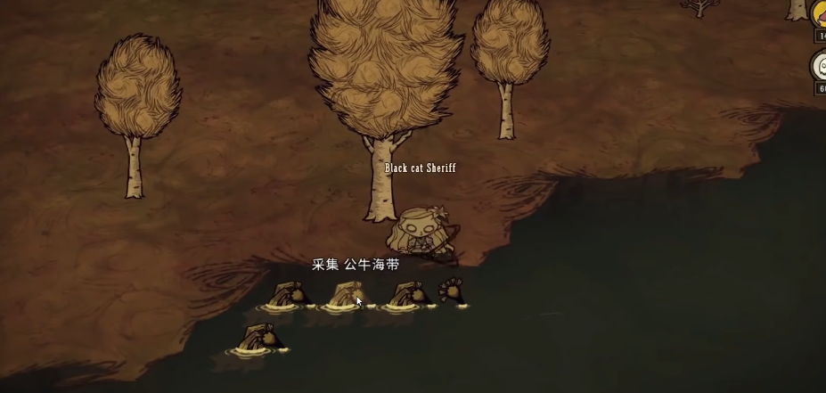 饥荒海带叶有什么用 饥荒海带叶有什么用