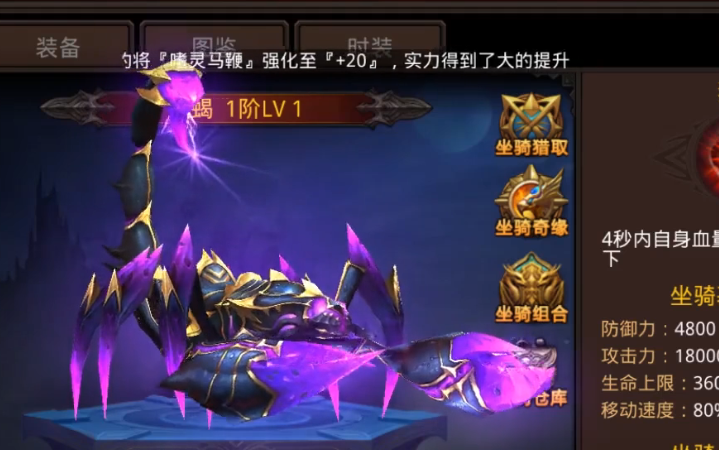 全民奇迹宠物装备在哪里