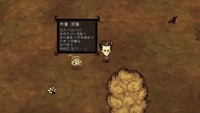 饥荒浣猫怎么养