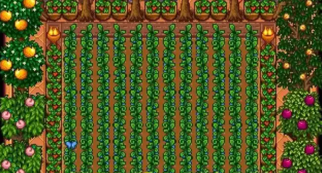 星露谷物语橙子树苗怎么种 星露谷物语橙子树苗怎么种