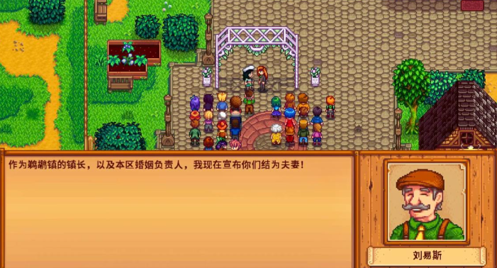 星露谷物语怎么和玛鲁结婚 星露谷物语怎么和玛鲁结婚