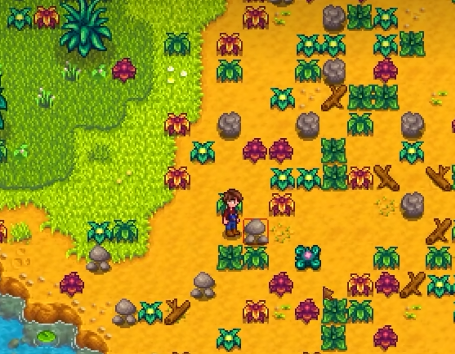 星露谷物语种植有什么技巧