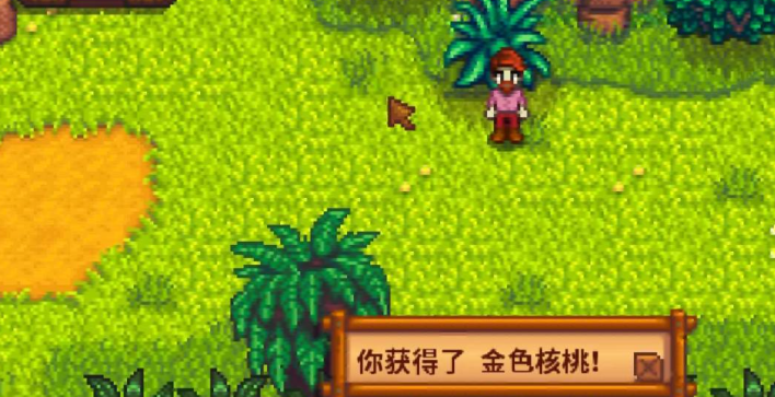 星露谷物语马笛怎么获取