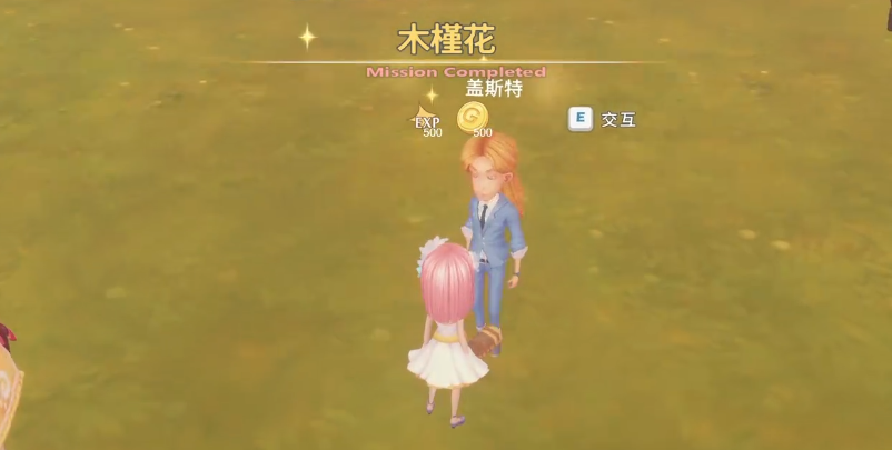 波西亚时光白色木槿花任务怎么做
