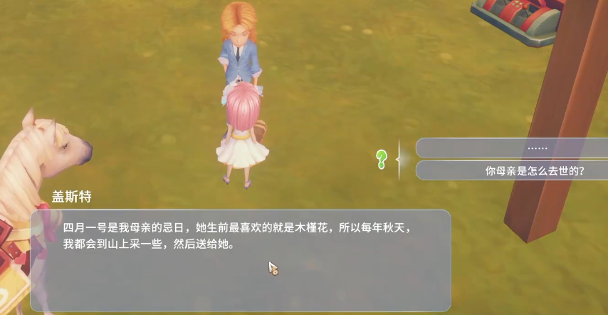 波西亚时光白色木槿花任务怎么做