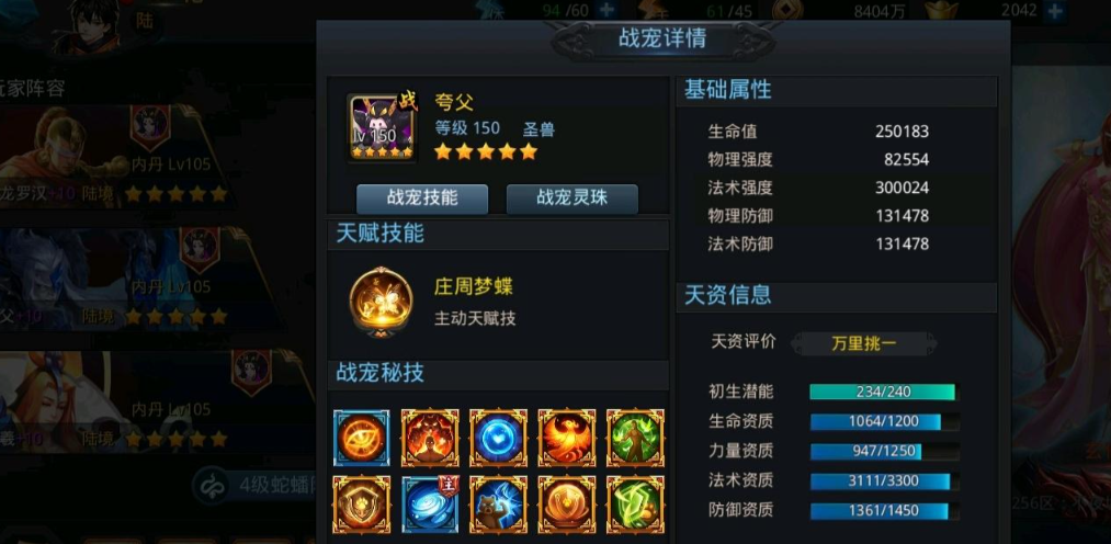 乱斗西游2宠物技能幻域怎么用