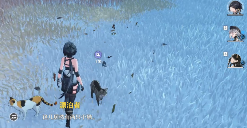 鸣潮帮小棠找猫任务怎么过 鸣潮帮小棠找猫任务怎么过