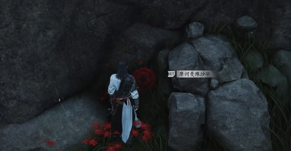 燕云十六声花中愿任务怎么完成 燕云十六声花中愿任务怎么完成