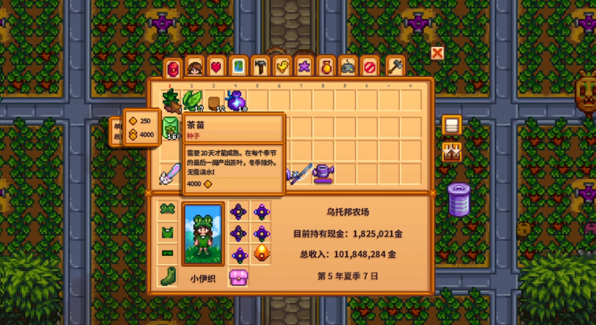 星露谷物语茶苗怎么种