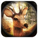 模拟猎人手机版下载_模拟猎人安卓版下载